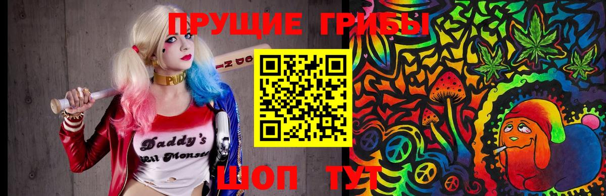 Ивантеевка  Галлюциногенные грибы MAGIC MUSHROOMS  Вход с VPN 